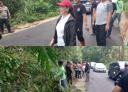 Demi Keamanan Masyarakat, Wabup Vasung Pantau Penebangan Pohon Ruas Jalan Raya Tondano-Remboken 13 Demi Keamanan Masyarakat, Wabup Vasung Pantau Penebangan Pohon Ruas Jalan Raya Tondano-Remboken