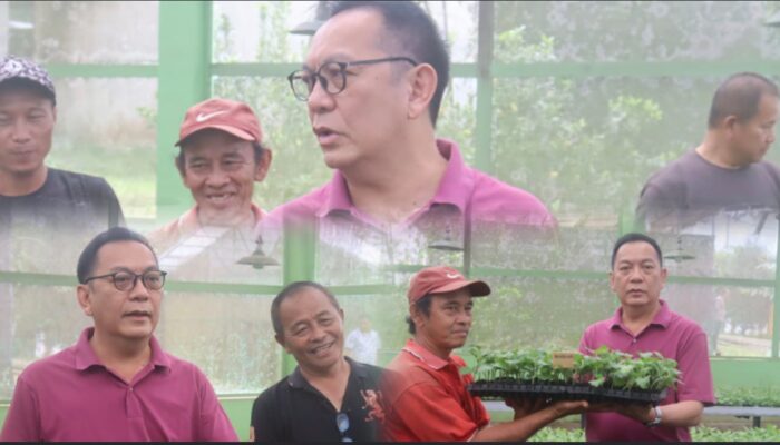 TIFF dan Tingkatkan Produktivitas Petani, Wali Kota Caroll Serahkan 50 Ribu Benih Krisan