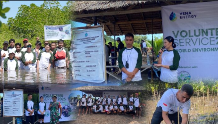 Vena Energy Gandeng Lestari Bumi Hijau Tanam 500 Mangrove di Pulau Naponamu Jaga Ekosistem Pesisir Minahasa Utara