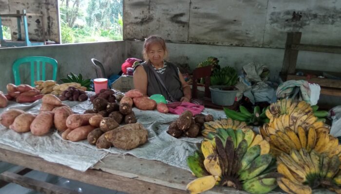 Arti Kemerdekaan bagi Oma Moni, Penjual Pisang hingga Ubi Bete di Airmadidi