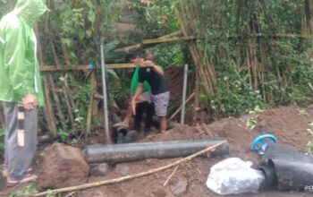 FB IMG 1763512763325