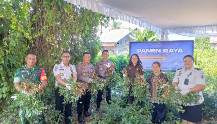 Pastikan Dukung Ketahanan Pangan Nasional, Lapas Tondano Ambil Bagian dalam Panen Raya Serentak