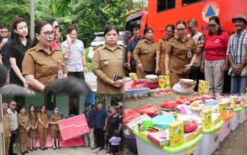 Pasca Bencana Angin Puting Beliung di Desa Totolan, Pemkab Minahasa melalui Wabub VaSung Serahkan Bantuan pada Keluarga Terdampak