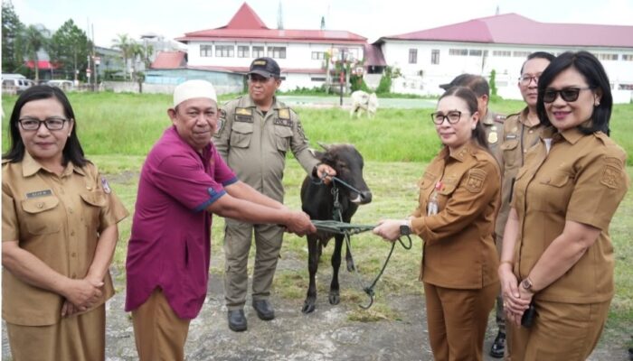 Wabub VaSung Serahkan Hewan Kurban Pemkab Minahasa, kepada Umat Muslim di Minahasa