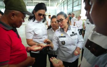 Pemkab Minahasa Perkuat Ketahanan Pangan, Wabub VaSung Tinjau Langsung Produsen Beras di Sidrap Sul-sel