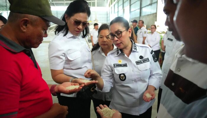 Pemkab Minahasa Perkuat Ketahanan Pangan, Wabub VaSung Tinjau Langsung Produsen Beras di Sidrap Sul-sel