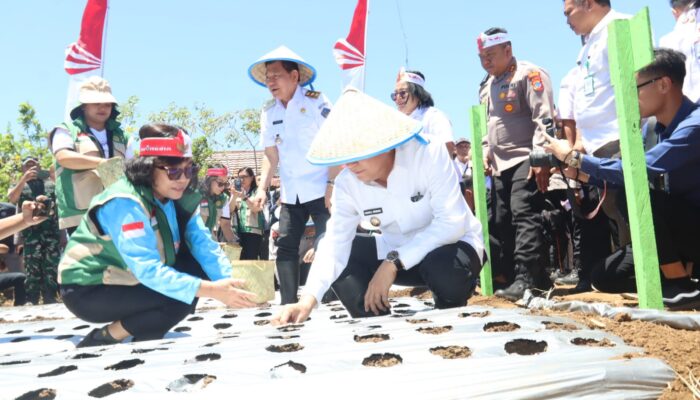 Wali Kota Caroll Senduk Tanam Bawang Putih Bersama Wagub dan Wakapolda Sulut