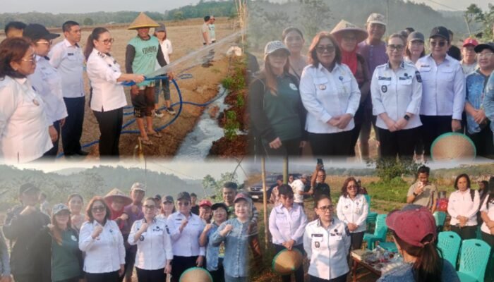 Atasi Dampak El Nino, Wabup Minahasa Vanda Sarundajang Turun Langsung Siram Lahan Petani di Desa Parepei